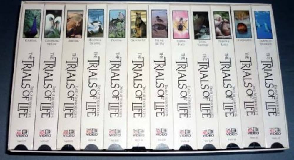 その他 Trials of Life: Finding the Way [VHS] その他 Trials of Life: Finding the Way [VHS] Trials of Life